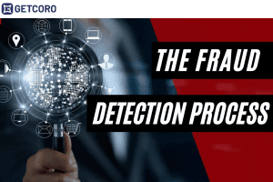 What do you mean by Fraud Detection?